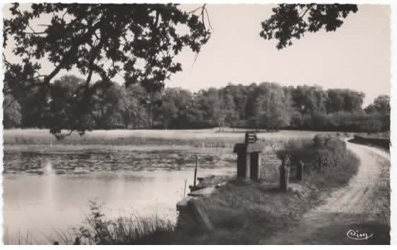 Château du Fond des Bois Carte Postale Chateau Du Fond Des Bois Etang
