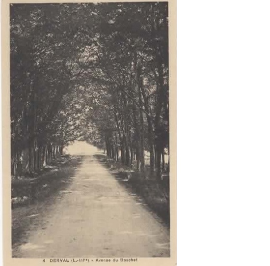 Carte Postale Lallee Du Chateau De Boschet