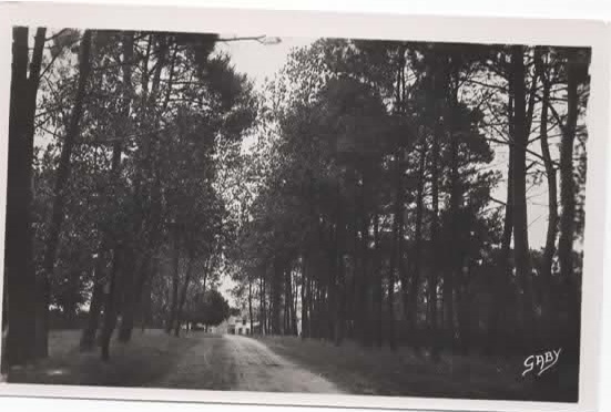 Le manoir de la Haye Carte Postale Manoir De La Haye Avenue