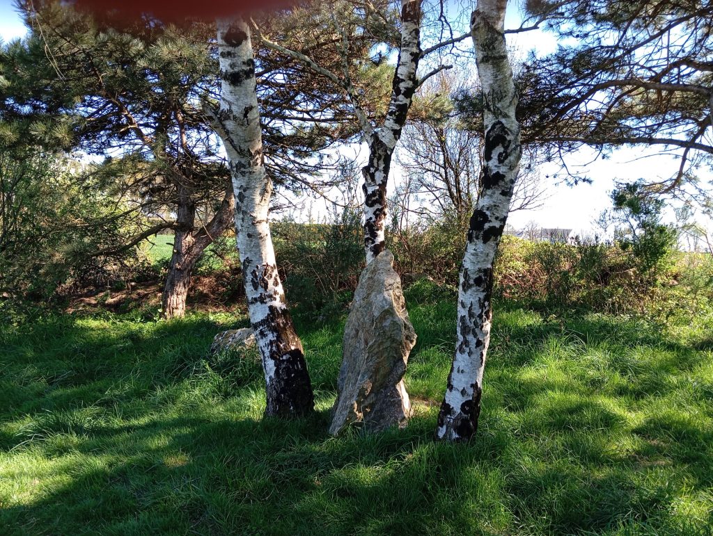 Les Sites img 20250401 152748